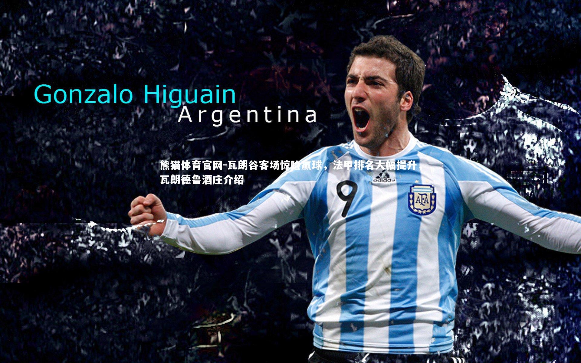 熊猫体育官网-瓦朗谷客场惊险赢球，法甲排名大幅提升，瓦朗德鲁酒庄介绍