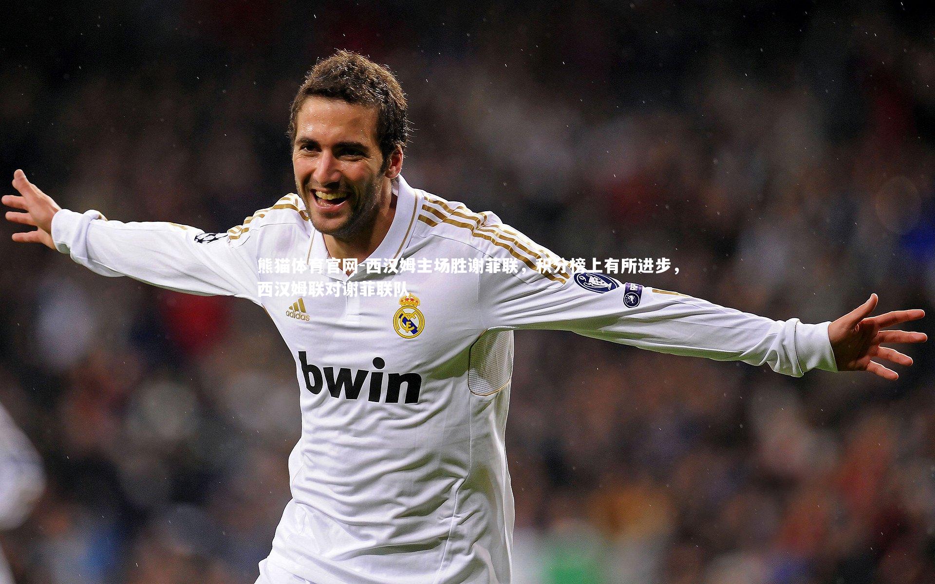 西汉姆主场胜谢菲联,积分榜上有所进步,西汉姆联对谢菲联队