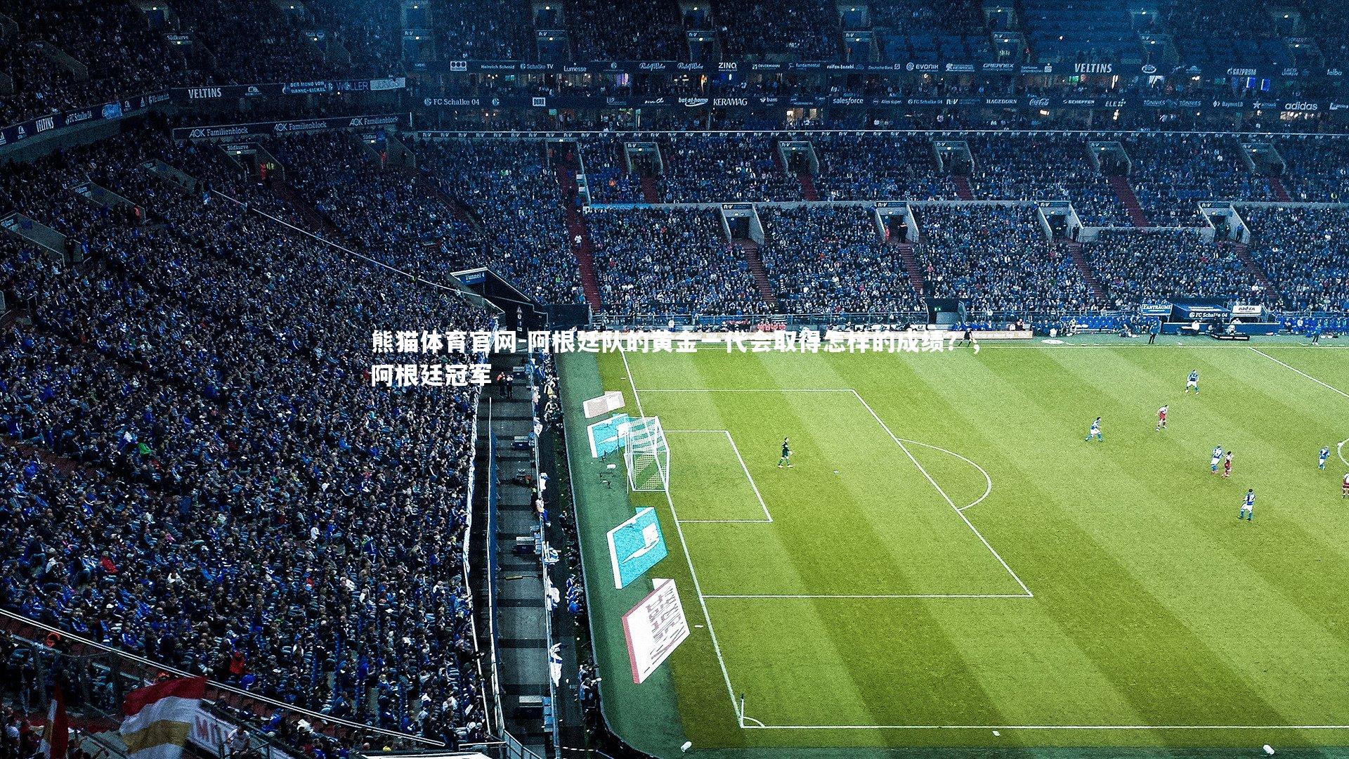 阿根廷队的黄金一代会取得怎样的成绩?,阿根廷冠军