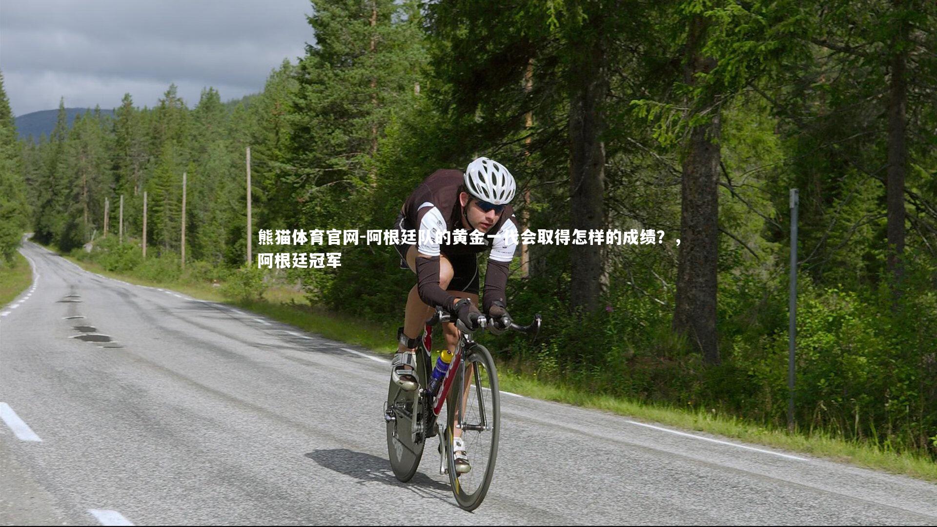 阿根廷队的黄金一代会取得怎样的成绩?,阿根廷冠军