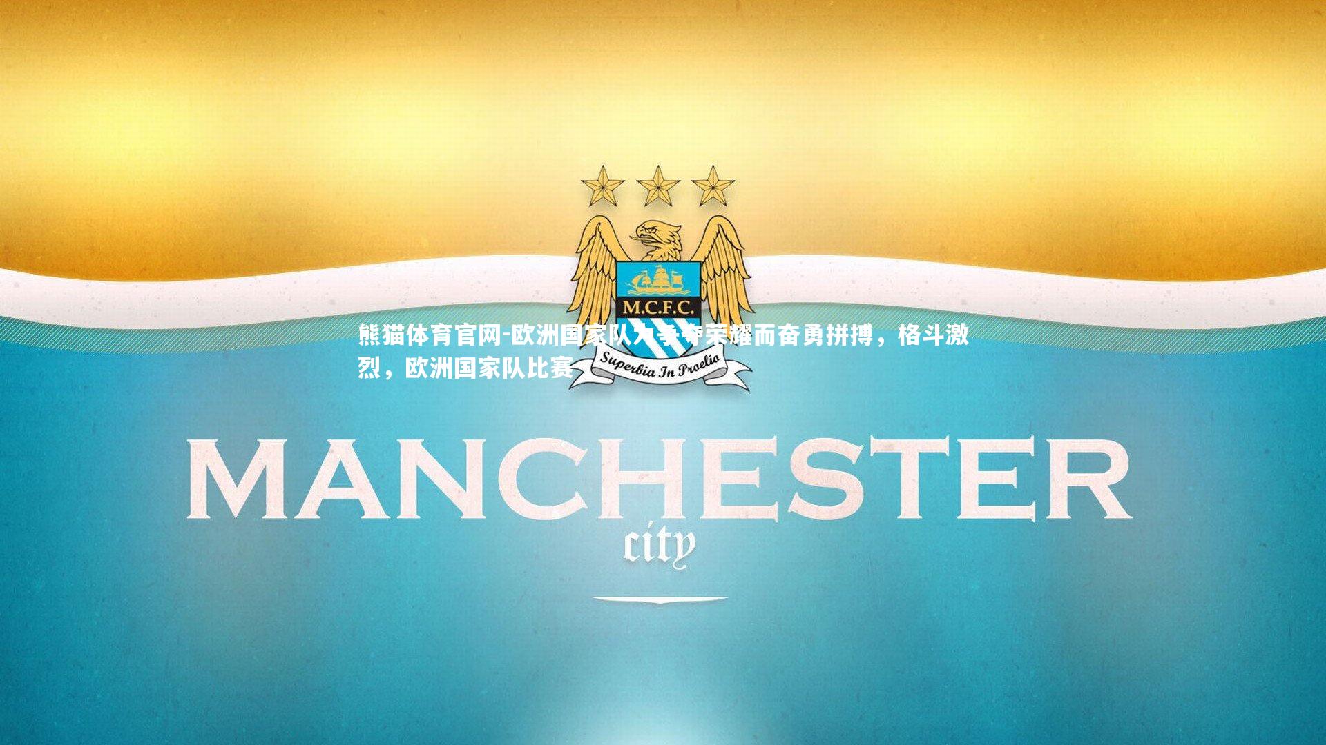 熊猫体育官网-欧洲国家队为争夺荣耀而奋勇拼搏，格斗激烈，欧洲国家队比赛