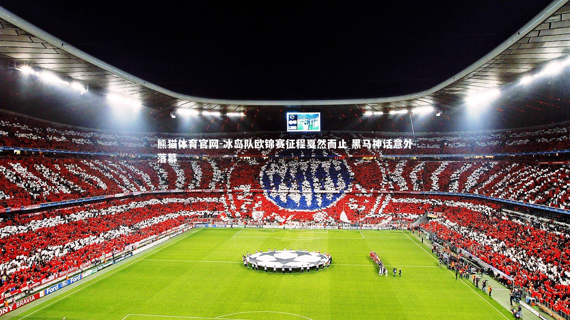 熊猫体育官网-冰岛队欧锦赛征程戛然而止 黑马神话意外落幕