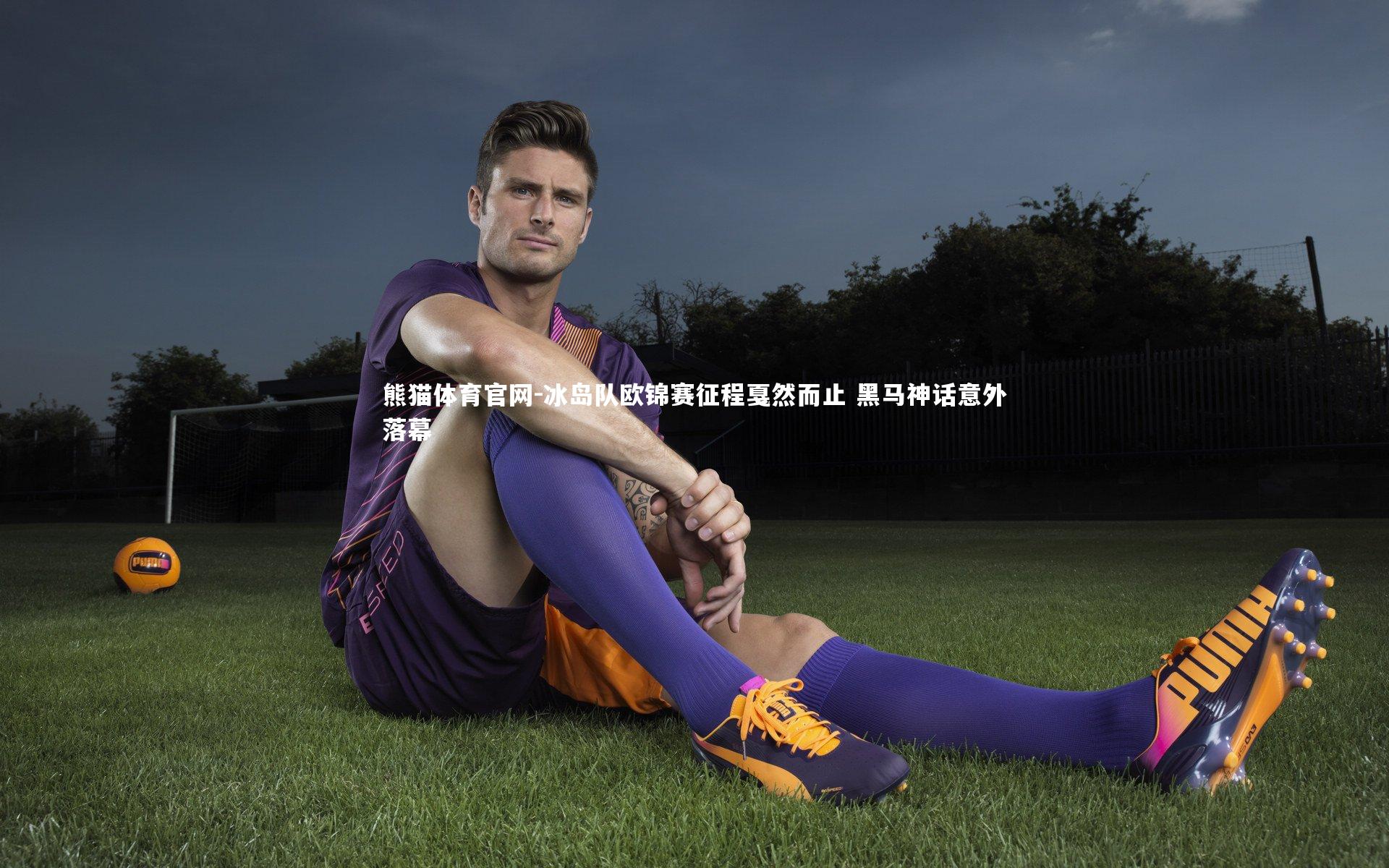 冰岛队欧锦赛征程戛然而止 黑马神话意外落幕