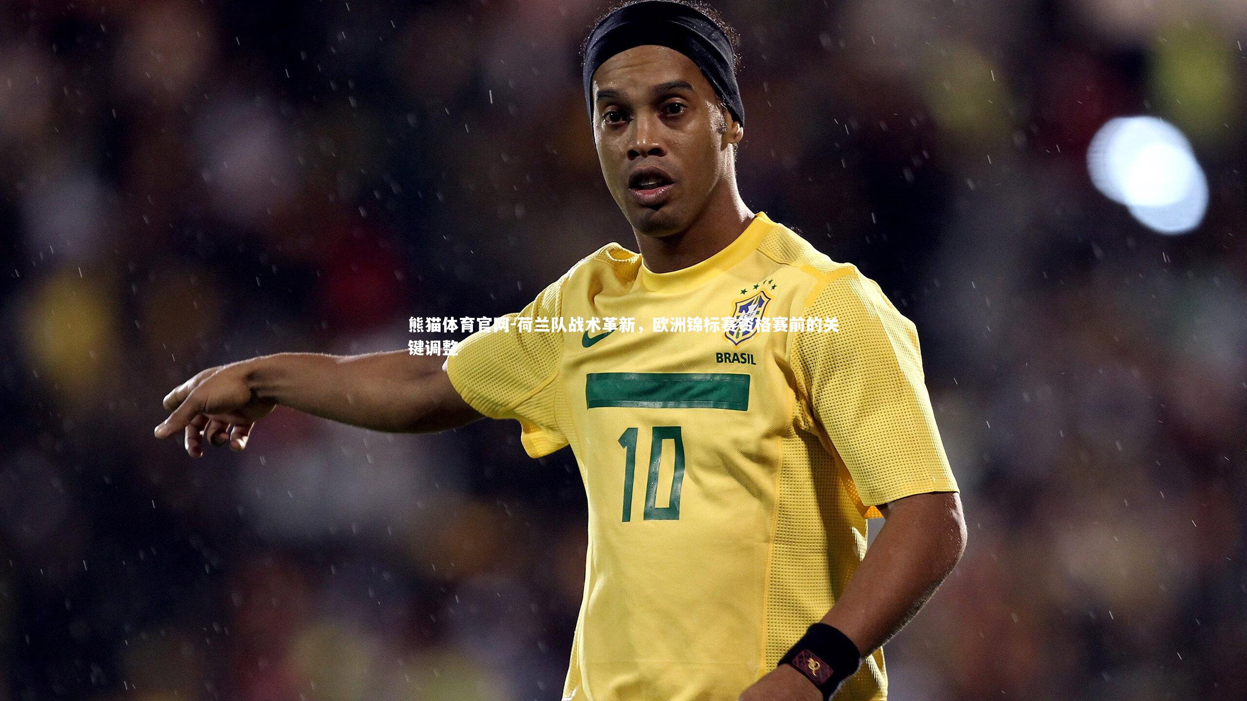 熊猫体育官网-荷兰队战术革新，欧洲锦标赛资格赛前的关键调整